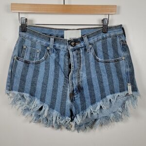 One Teaspoon Zephyr Outlaws Button Fly Pinstripe Shorts Size 24